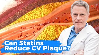 Can Statins Reduce CV Plaque [upl. by Ariaet]