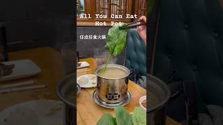 Hotly Pot Review Worth the 45Minute Drive  Winnipeg 🇨🇦 ayce hotpot foodshorts [upl. by Rothschild974]