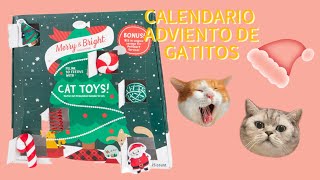 CALENDARIO DE ADVIENTO PARA GATITOS [upl. by Brittan246]