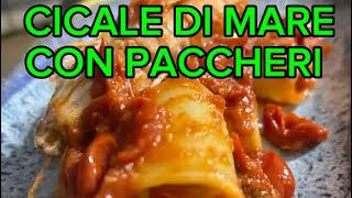 PACCHERI con cicale di mare [upl. by Eelhsa]