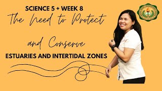 THE NEED TO PROTECT AND CONSERVE ESTUARIES AND INTERTIDAL ZONES  SCIENCE 5 WEEK 8  PB1ES PIVOT 4A [upl. by Atsirtal966]