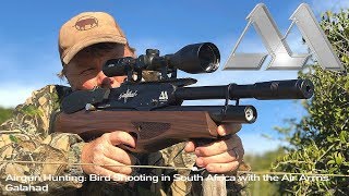 Airgun Hunting Bird Shooting in South Africa with the Air Arms Galahad [upl. by Caesar]