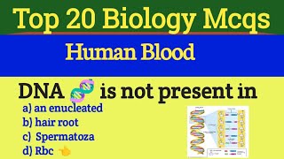 Human blood mcqs  human blood mcq  humam blood mcqs2024 [upl. by Eiram]