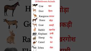 10 Herbivores Animals name in English and Hindi  10 शाकाहारी जानवर नाम shorts herbivoresanimals [upl. by Roselyn]