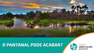 O PANTANAL PODE ACABAR [upl. by Ham]