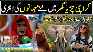 Explore Karachis Oldest Zoo  The Mystery of Mumtaz Begum  Hello Karachi  Discover Pakistan [upl. by Nylirad802]