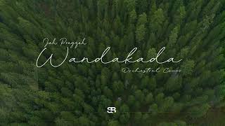 Jah Prayzah  Wandakada Orchestral Version Cover [upl. by Esdnil]