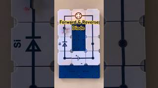 Diode Working Forward amp Reverse Diode Basic Diode circuit for engineering students shorts diode [upl. by Ekaterina808]