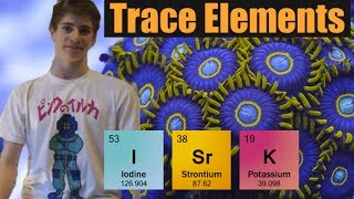 Minor Trace Elements Explained Iodide Strontium Potassium [upl. by Heida645]