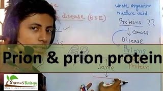 Prion protein and prion disease [upl. by Kovacs]