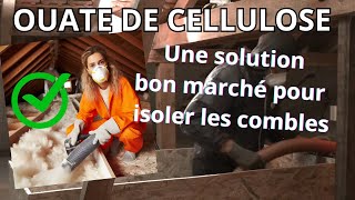 Ouate de Cellulose une Solution Bon Marché pour Isoler les Combles [upl. by Mechelle]