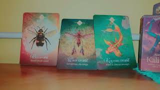 Spirit Animal Oracle Message for you tarotreading tarot asmr psychictarot ytviral [upl. by Yrekcaz]