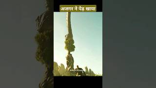 ajgar ne ped ko khaya aur dragon me badal gaya 2024 raised by the wolves ytshorts movieexplain [upl. by Narib]