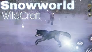 WildCraft  Animal Sim Online 3D  Playing in the Snowworld amp Starting to breed a Cub  4 Wolf [upl. by Christie102]