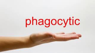 How to Pronounce phagocytic  American English [upl. by Dolhenty170]