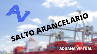 SALTO ARANCELARIO FÁCIL Y SENCILLO REGLAS DE ORIGEN  TRATADOS DE LIBRE COMERCIO [upl. by Eilrebma166]