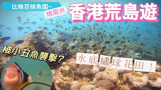 【秘景️‼️靚到唔似香港】超壯觀 勁多魚😍 水底都有日本繡球花田🪸？ 被小丑魚襲擊如何自救 ｜香港荒島遊 浮潛勝地西貢娥眉洲 附潛點 ＋ 去前必睇詳細攻略！ [upl. by Obrien]