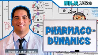 Pharmacodynamics [upl. by Adnirual]