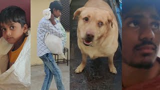 Upendraganiviraldogsavechild search dog help with search for missing childtelugu vlog [upl. by Nairdad]