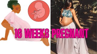 16 WEEKS PREGNANT WHAT TO EXPECT WEEK BY WEEK [upl. by Animlehliw]