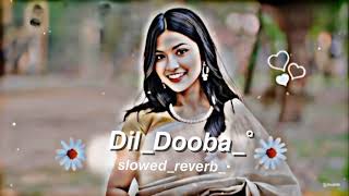 Dil Dooba lofhi song slowed rever song lyrics music Hindi 🎶 [upl. by Edana]