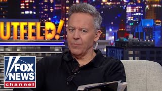 Gutfeld Democrats are panicking [upl. by Jacklin]