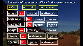 Warlpiri Grammar PART 2 [upl. by Yendis268]