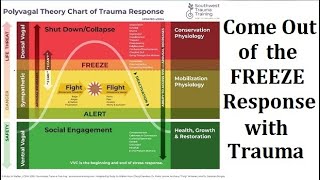 How to Come Out of Freeze Response in Trauma Polyvagal Theory amp Somatic Experiencing [upl. by Nihhi687]