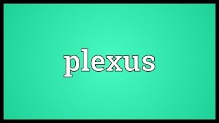 Plexus Meaning [upl. by Ruddie]