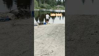 Lake Dolloff Parking Boat Launch and Fish Species You Can Catch  Fishing in Auburn WA [upl. by Binah]