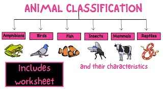 Animal classification Science for kids  My pals are here [upl. by Bartholomew]