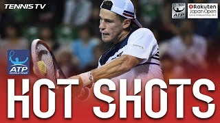 Schwartzman Ups Power Level In Tokyo 2017 Hot Shot [upl. by Bluefield933]