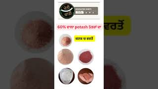 5type of potash for agriculture use wheatcrop farming crop wheatseeds wheat paddy punjab [upl. by Odelia]