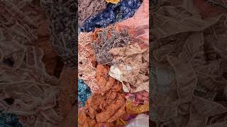 Laces designs Lace dress designs viralvideo sewing fashion shorts [upl. by Esbenshade]