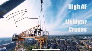 Fpv drones and Cranes  Liebherr Tower Crane assembly by f6 image [upl. by Isidor836]