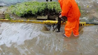 Urban Flooding Unclogging Drains and Restoring Order to the Streets [upl. by Atiuqa816]