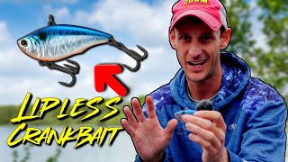 Lipless Crankbaits Are Underrated [upl. by Akeret]