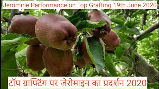 Jeromine Performance on Top Grafting 19th June 2020 [upl. by Clifford454]