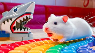 🐹🚀 Hamsters Great Escape from the Colorful LEGO Ball Pit Prison [upl. by Nert]