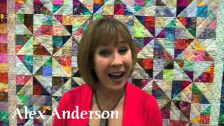 FREE Quilt Shows at TheQuiltShowcom [upl. by Allertse]