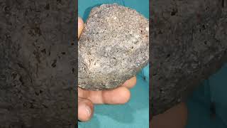 Gold meteorite for sale [upl. by Anire]