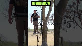 Falling out of my tree stand treestand safety falling gowithabow bowhunting huntingseason [upl. by Tenay]