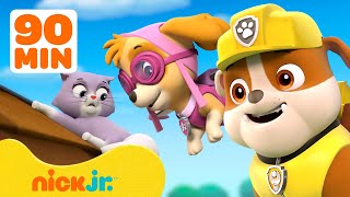 Die PAW Patrol hilft Tieren in Adventure Bay  Nick Jr Deutschland [upl. by Anytsirk]