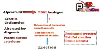 Prostaglandins Analogues Mechanism of action and their Therapeutic Use  PharmaCos [upl. by Mara]