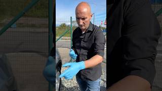 Discover the Simple Trick to Fix Car Dents in Just Minutes CarHack [upl. by Ahsats]