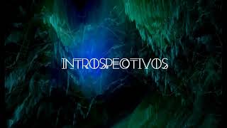 INTROSPECTIVOS  Sara Hebe ft Highkili Prod Don Peligro visualizer [upl. by Adnor]