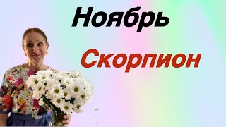 🔴Ноябрь СКОРПИОН 🔴 [upl. by Kceb]