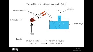 10th Science TN Types of chemical reactions வேதி வினைகளின் வகைகள் [upl. by Dulcea443]