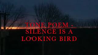 TONE POEM  SILENCE IS A LOOKING BIRD [upl. by Ternan424]