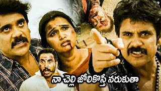 Ragada Movie Nagarjuna Mass Warning Scenes  Latest Telugu Movie Scenes  Matinee Show [upl. by Gabriellia]